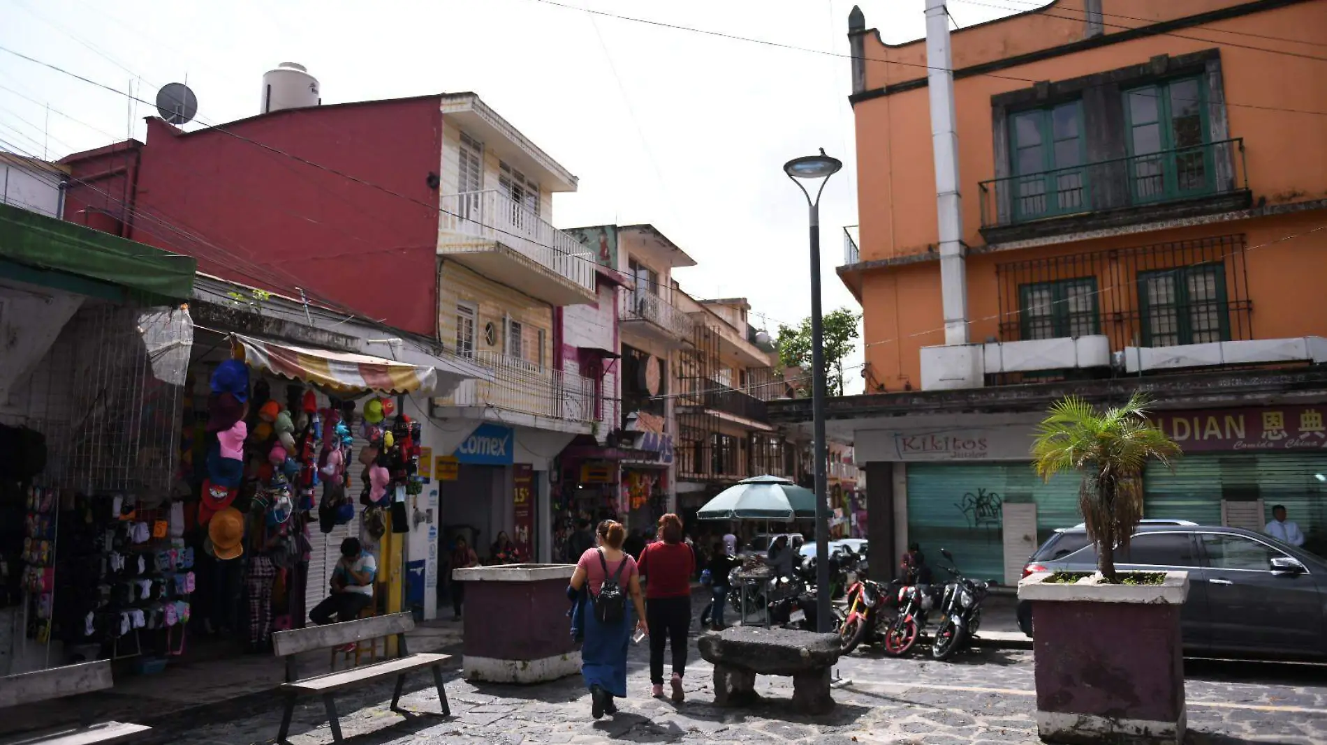 "El Árbol" de la Plazuela del Carbón